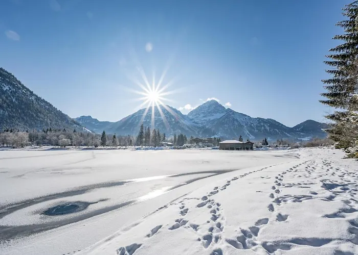 Отель Fischer Am