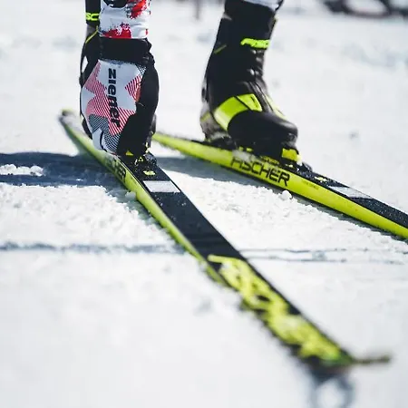 Hotel Fischer Am Heiterwang