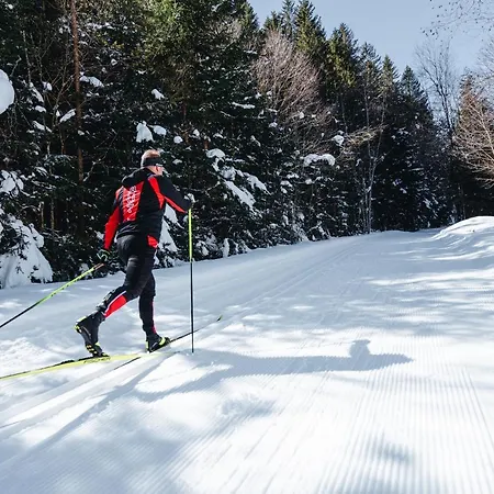 فندق Fischer Am 4*